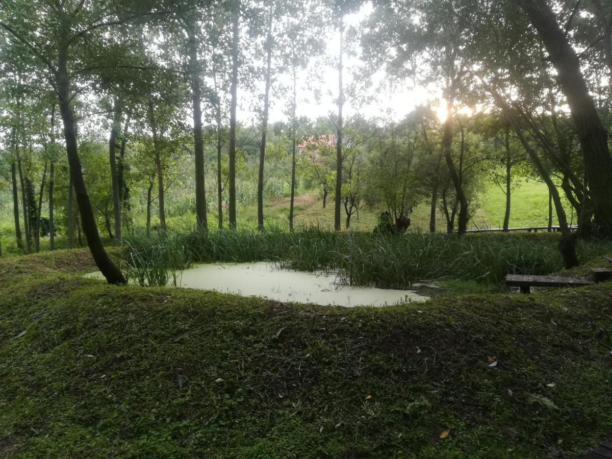 Vila Davidovic-Fruska Gora Mandelos 外观 照片