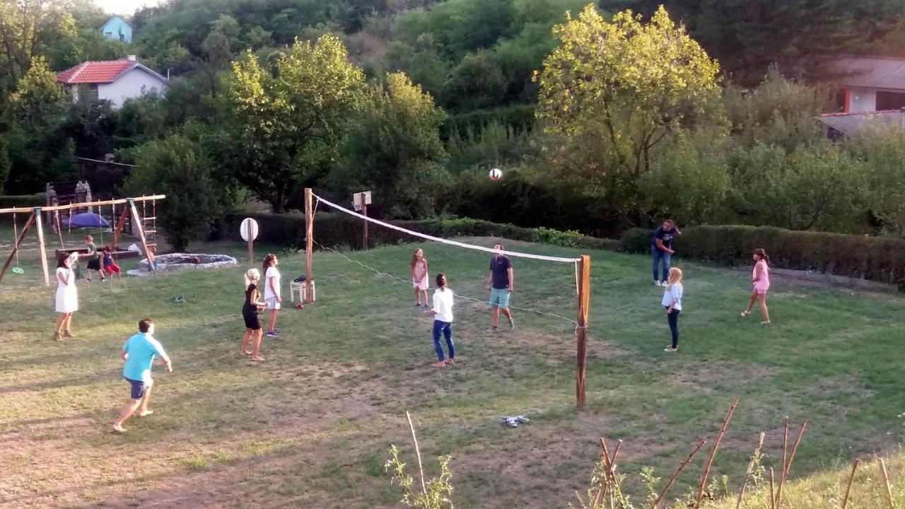 Vila Davidovic-Fruska Gora Mandelos 外观 照片