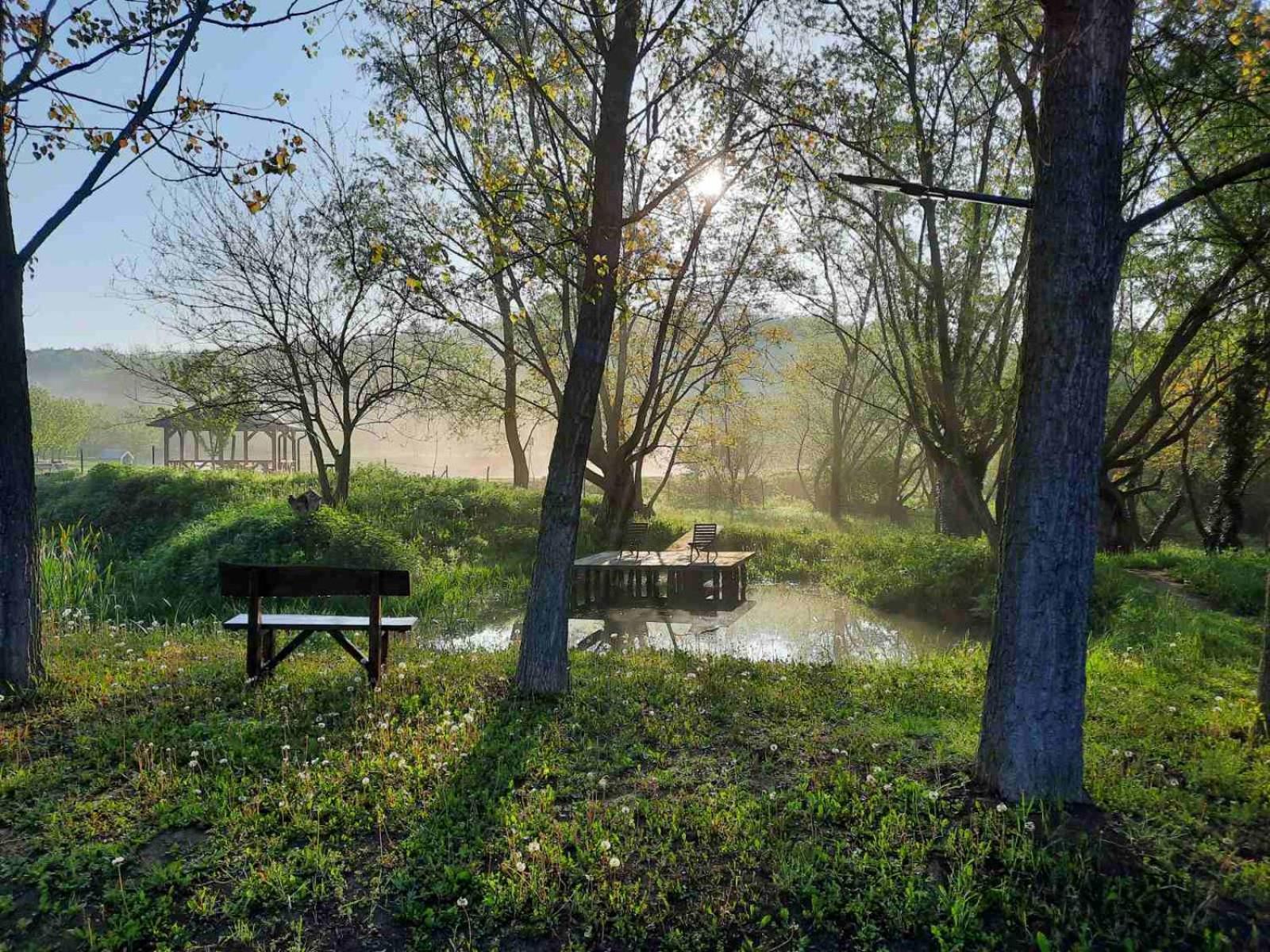 Vila Davidovic-Fruska Gora Mandelos 外观 照片